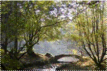 SunnyhurstWoods.jpg