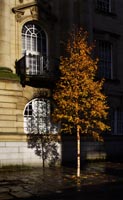 Autumn in the City, Preston