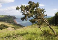 Dorset Coast
