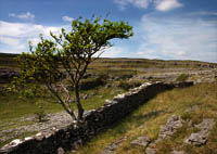Maughton Scar, Yorkshire Dales