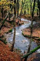 'Rocky Brook', Tockholes