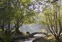 Below the paddling pool, Sunnyhurst Woods, Darwen