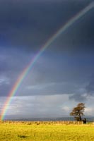 Under the Rainbow, between Darwen and Tockholes