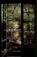 View to a Stream