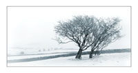 West Pennine Winter