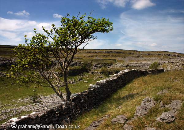 Maughton Scar