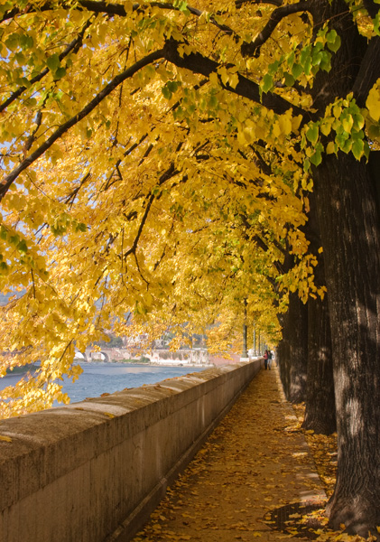 Autumn by the River, Verona