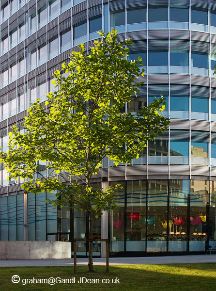 Urban Growth, Spinningfields