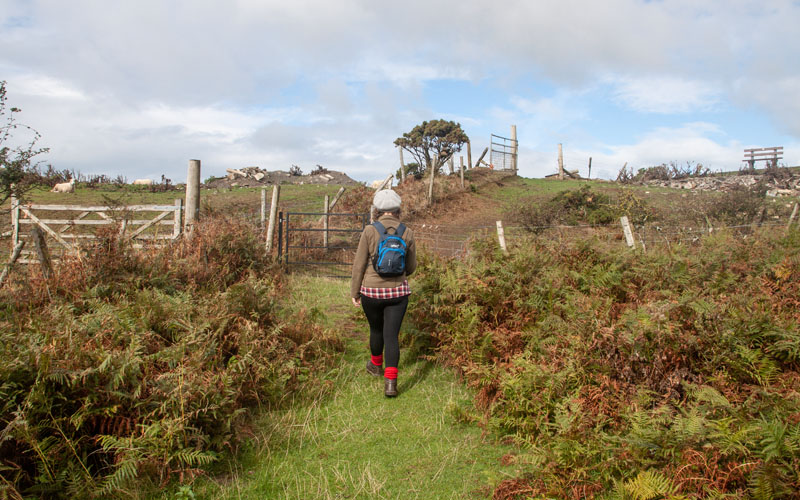 footpath above Aberdyfi, walking towards Trefeddian Farm