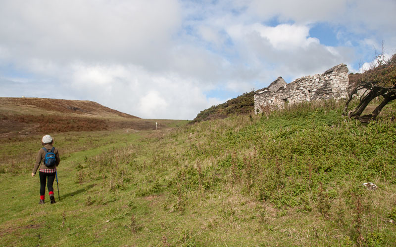 Ruin - Trefeddian-fâch