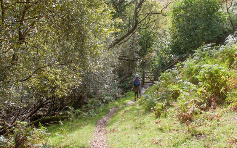 footpath leading downhill to Aberdyfi