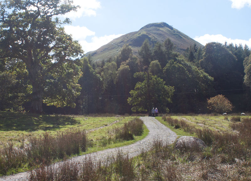 view of Catbells from between Nichol End and Hawse End