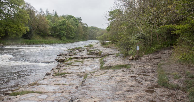 the River Ure by Aysgarth Lower Falls