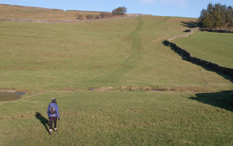 field path north of Austwick