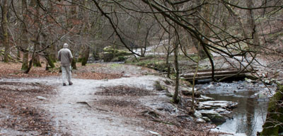 path by River Roddlesworth (Rocky Brook)