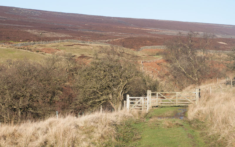 between Broadshaw House and Hudson Gill