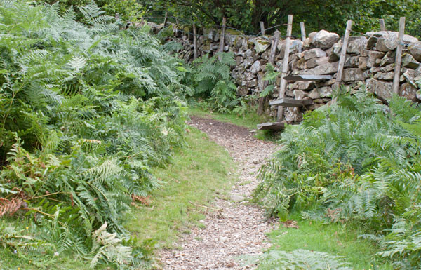 the path leading up Stonethwaite Fell