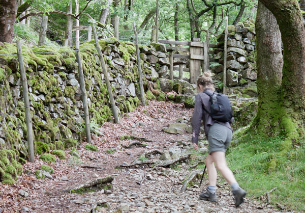 the path leading up Stonethwaite Fell