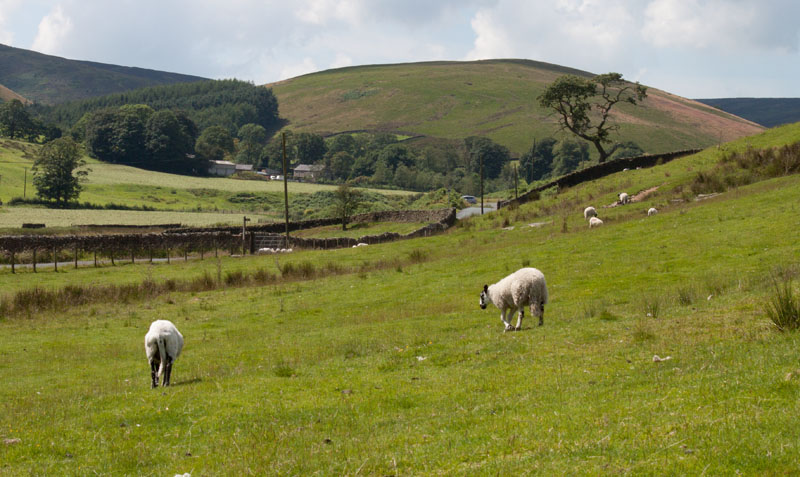 Trough Road near Dunsop Bridge