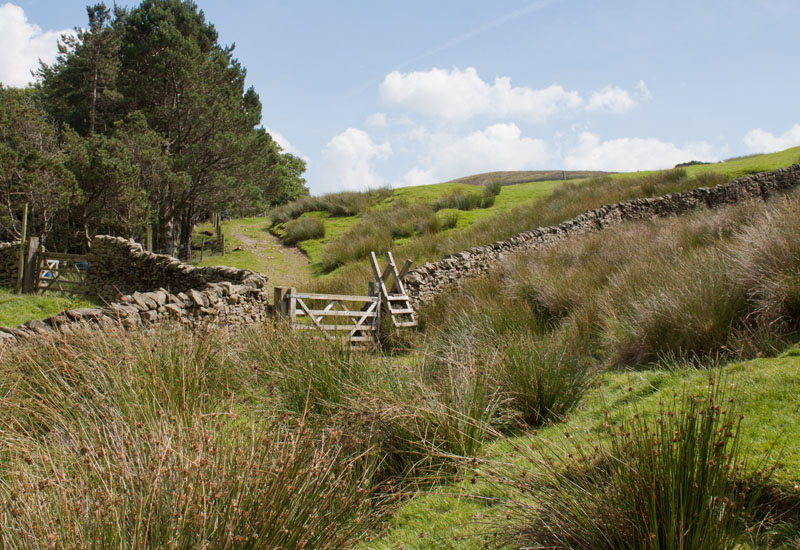 near Hareden Farm