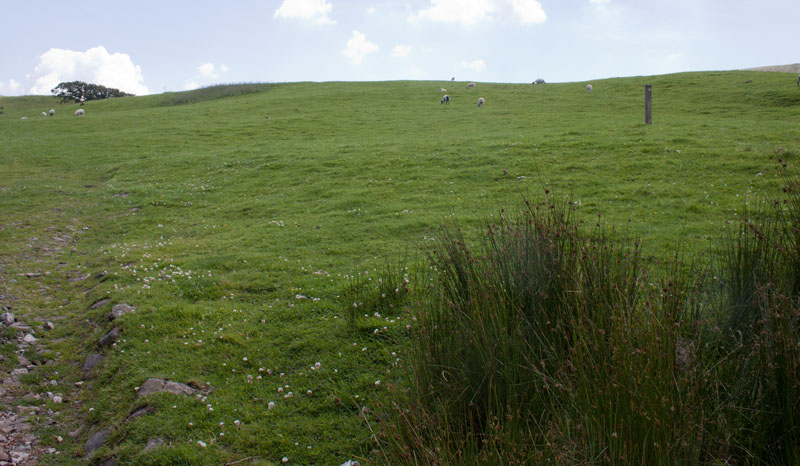 between Mellor Knoll and Totridge
