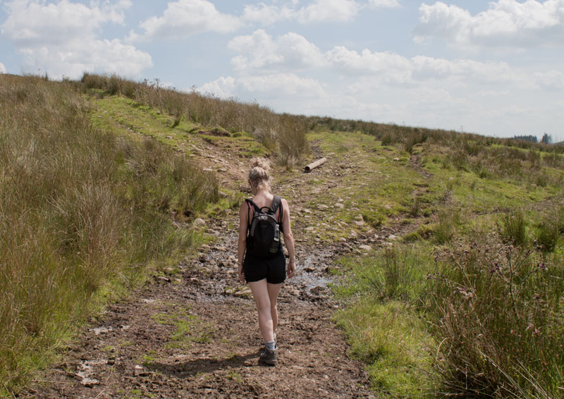 between Mellor Knoll and Totridge