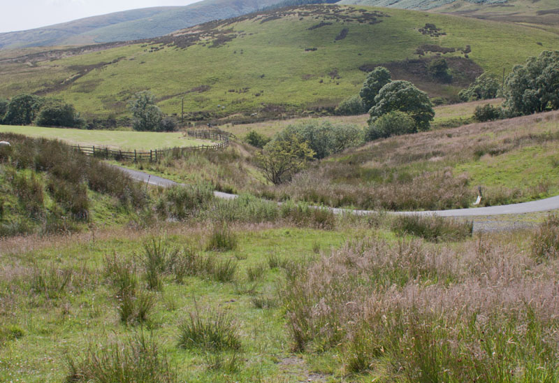 Below Whitmore Fell