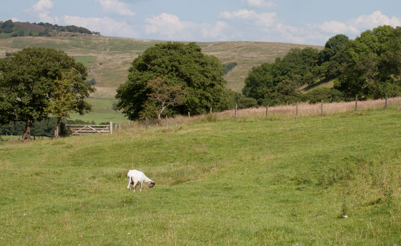 path to New Laund