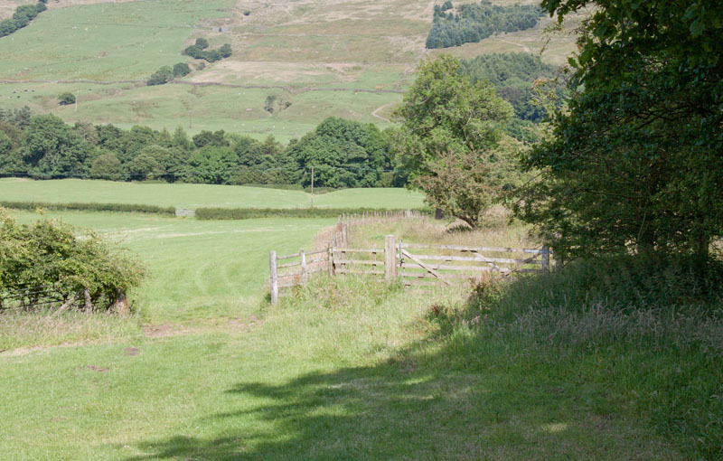 path to New Laund