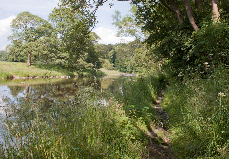 path to Whitewell