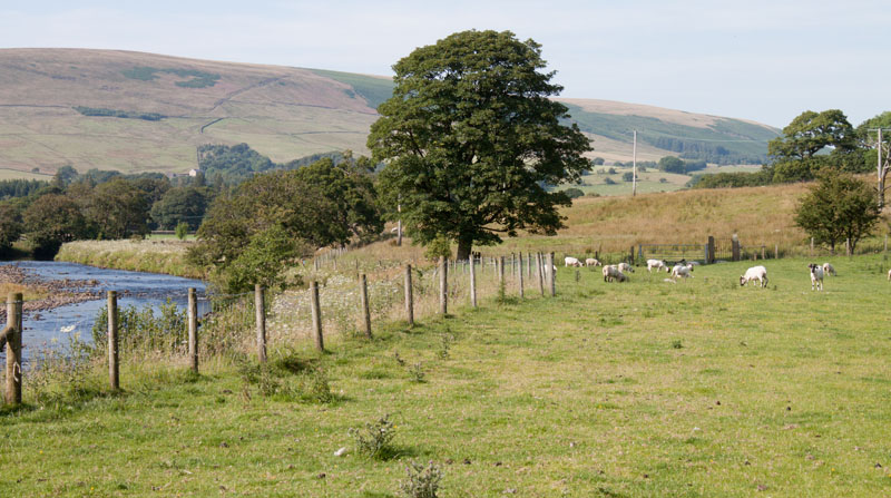 path between Burholme Farm and Thorneyholme Hall