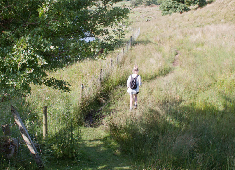 path between Burholme Farm and Thorneyholme Hall