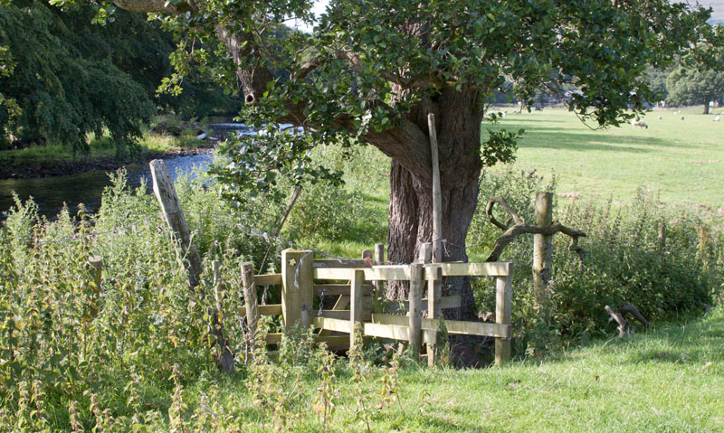 path between Burholme Farm and Thorneyholme Hall