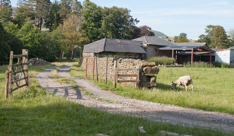 path between Burholme Farm and Thorneyholme Hall