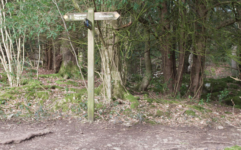 junction of paths in Eaves Wood