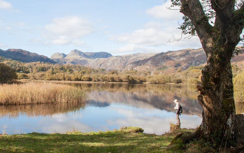 view across Elter Water towards the Langdales