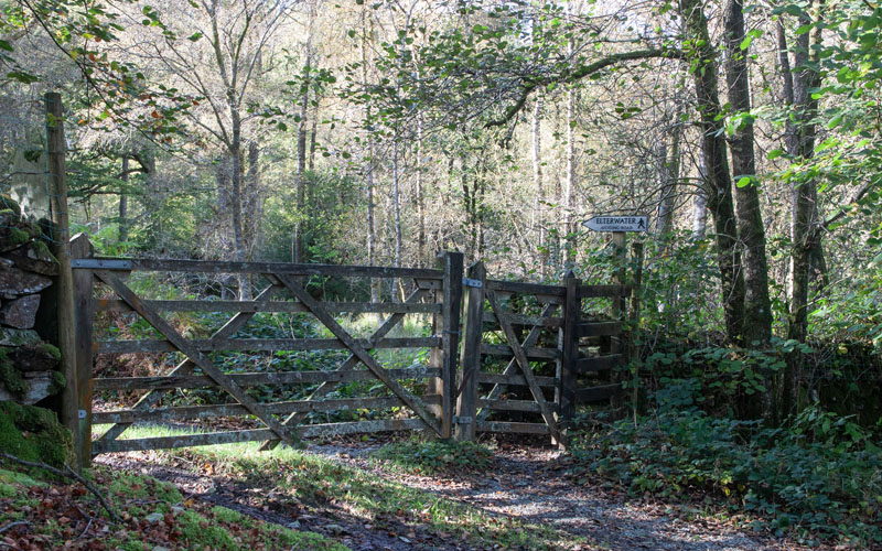 entering Fletchers Wood