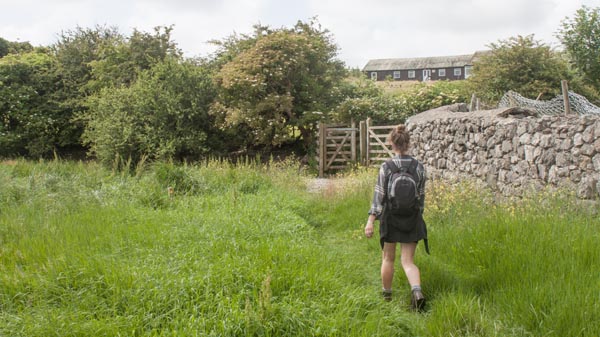 near Wyke Farm