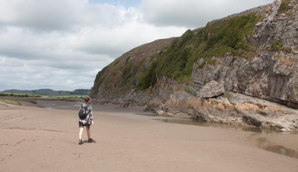 the cliffs,Humphrey Head