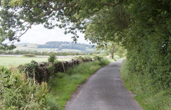 Holy Well Lane