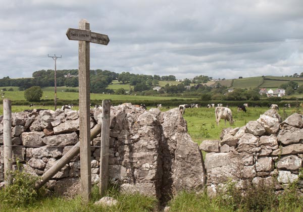 Cumbria Coastal Way between Wyke Farm and Allithwaite