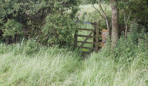 Cumbria Coastal Way between Wyke Farm and Allithwaite