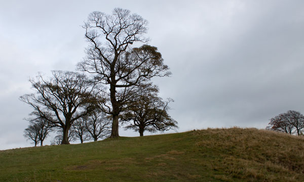 walking towards the Cage, Lyme Park