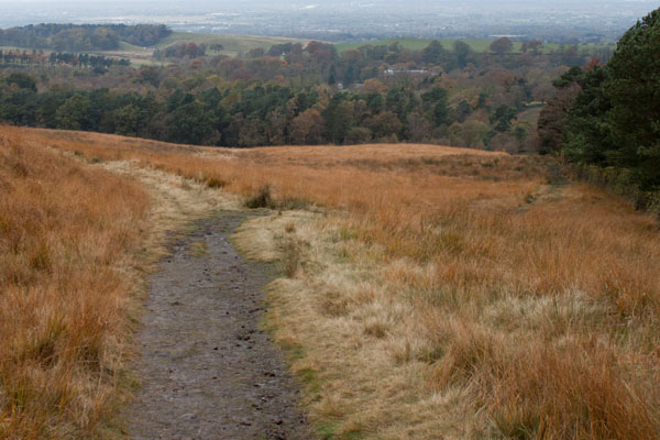 the edge of Park Moor, looking down on Lyme Park