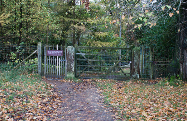 Lyme Park, gate into deer park