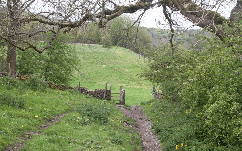 path between Ashford-in-the-Water and Great Shacklow Wood