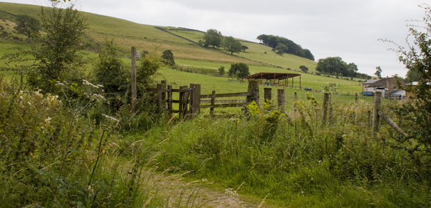 kissing gate on path leading to Angram Green