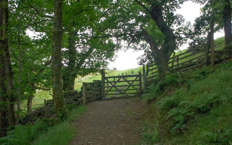 gate leading to open fell