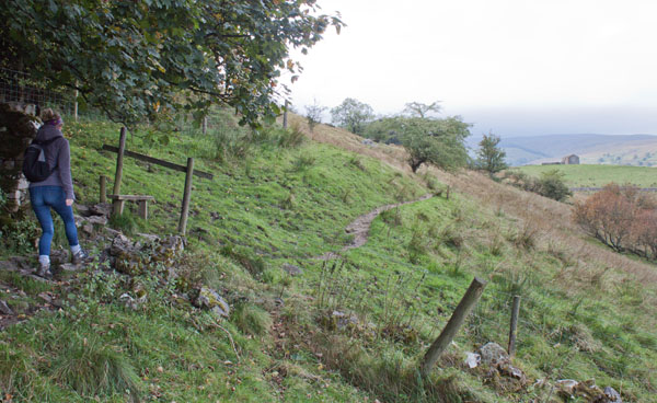 footpath between Low Blean Farm and Stalling Busk