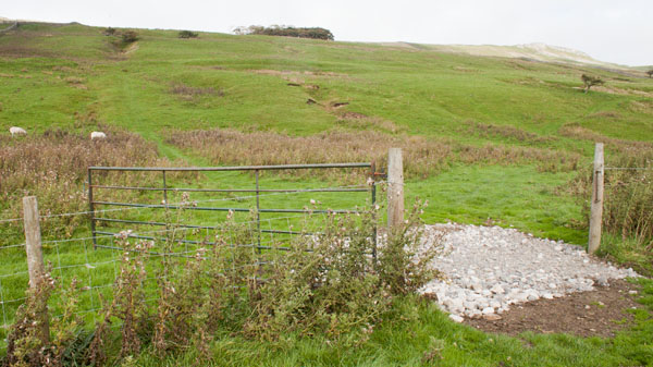 the path leading from Marsett